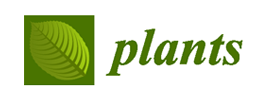 MDPI - Plants