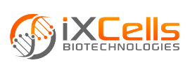 iXCells Biotechnologies 